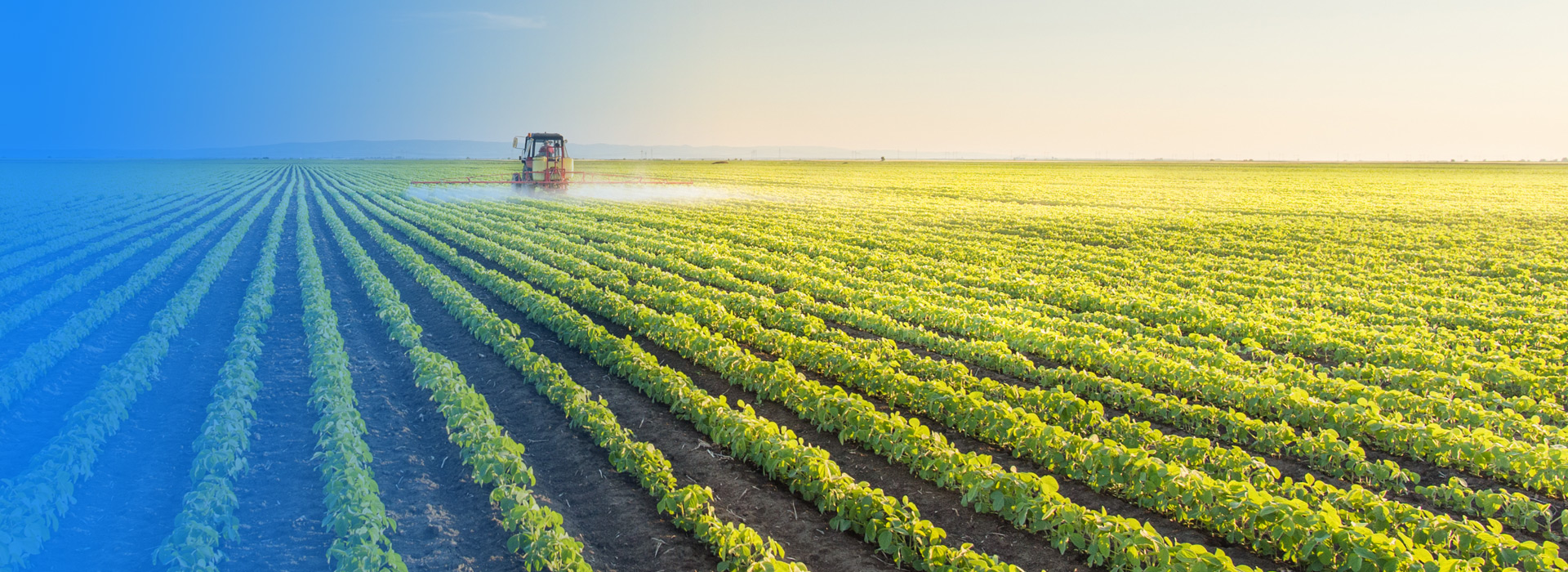 贝斯特农业公司